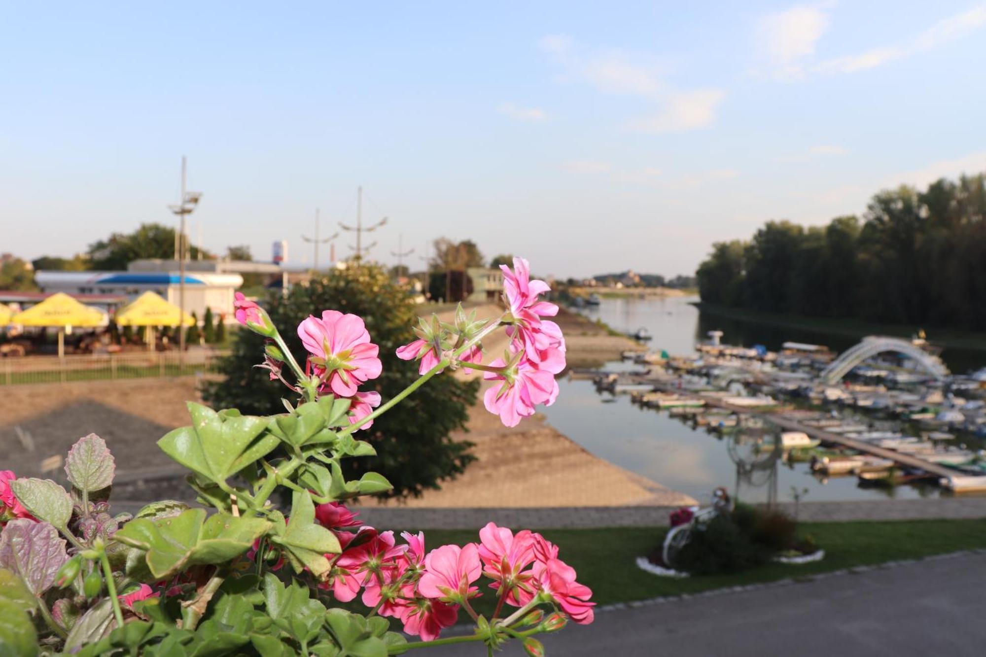 Apartments Marina Apatin Dış mekan fotoğraf